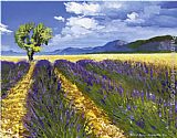 Talantbek Chekirov Lavendelfeld mit Baum painting